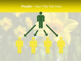 Parent Old Single PowerPoint Template