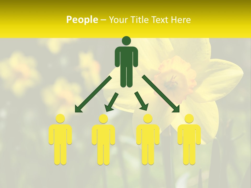 Parent Old Single PowerPoint Template