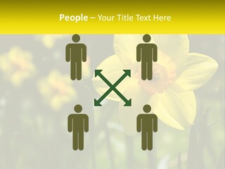 Parent Old Single PowerPoint Template