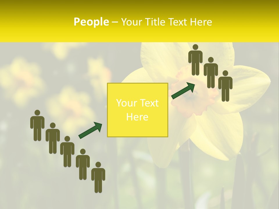 Parent Old Single PowerPoint Template