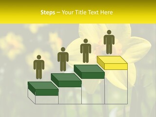 Parent Old Single PowerPoint Template