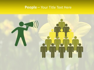 Parent Old Single PowerPoint Template