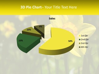 Parent Old Single PowerPoint Template