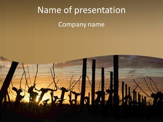 Daughter Old Sunset PowerPoint Template