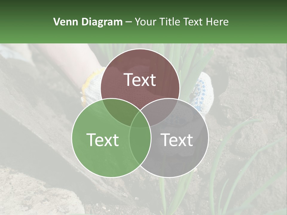 Sad Daughter Pensioner PowerPoint Template