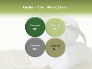 Portrait Coastal Ocean PowerPoint Template