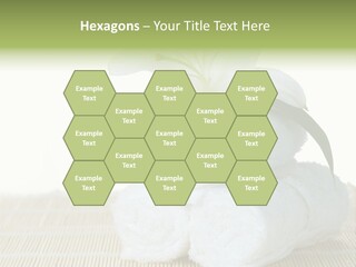 Portrait Coastal Ocean PowerPoint Template