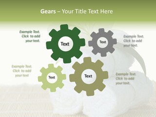 Portrait Coastal Ocean PowerPoint Template