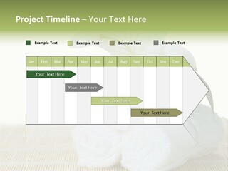 Portrait Coastal Ocean PowerPoint Template