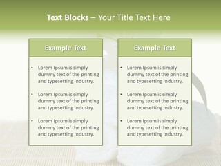 Portrait Coastal Ocean PowerPoint Template