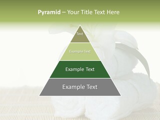 Portrait Coastal Ocean PowerPoint Template