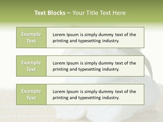 Portrait Coastal Ocean PowerPoint Template