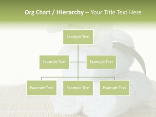 Portrait Coastal Ocean PowerPoint Template