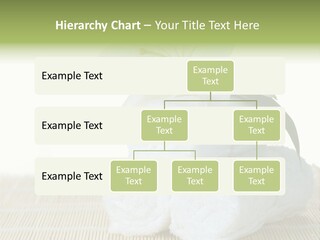 Portrait Coastal Ocean PowerPoint Template