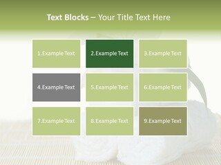 Portrait Coastal Ocean PowerPoint Template