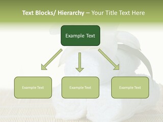 Portrait Coastal Ocean PowerPoint Template