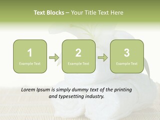 Portrait Coastal Ocean PowerPoint Template