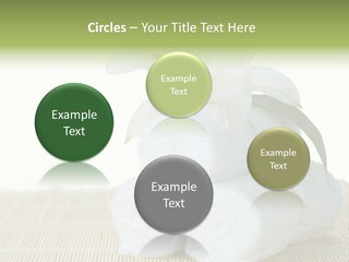 Portrait Coastal Ocean PowerPoint Template