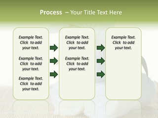 Portrait Coastal Ocean PowerPoint Template