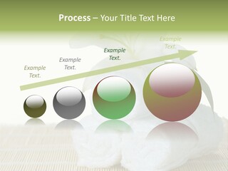 Portrait Coastal Ocean PowerPoint Template