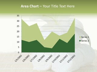Portrait Coastal Ocean PowerPoint Template