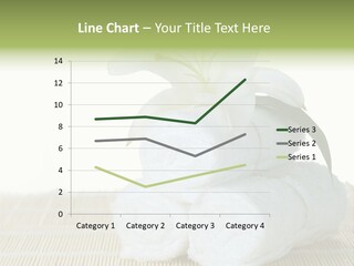 Portrait Coastal Ocean PowerPoint Template