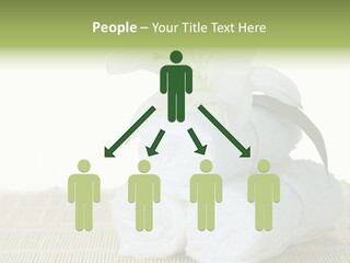 Portrait Coastal Ocean PowerPoint Template