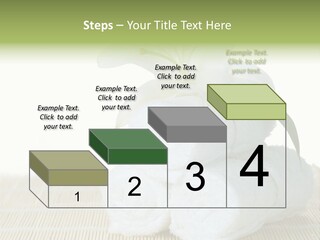 Portrait Coastal Ocean PowerPoint Template