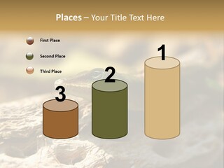 Beach Portrait Sunrise PowerPoint Template