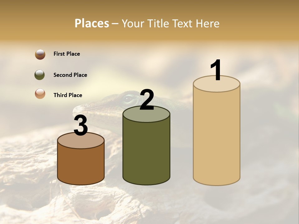 Beach Portrait Sunrise PowerPoint Template