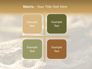 Beach Portrait Sunrise PowerPoint Template