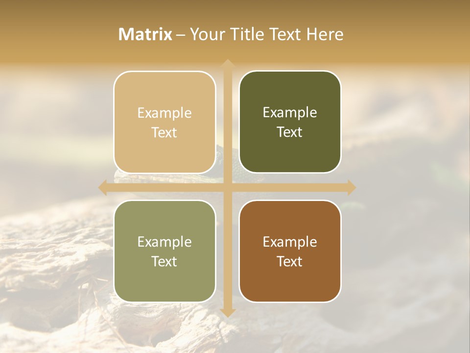 Beach Portrait Sunrise PowerPoint Template