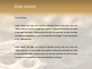 Beach Portrait Sunrise PowerPoint Template