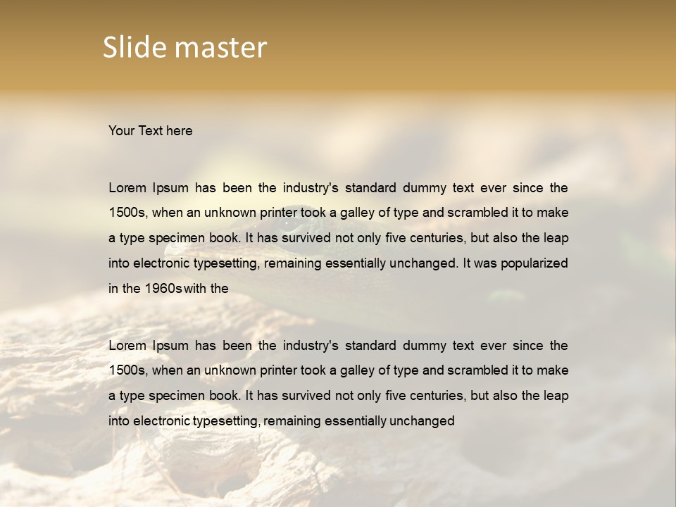 Beach Portrait Sunrise PowerPoint Template