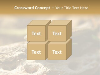 Beach Portrait Sunrise PowerPoint Template