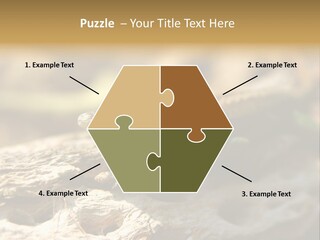 Beach Portrait Sunrise PowerPoint Template