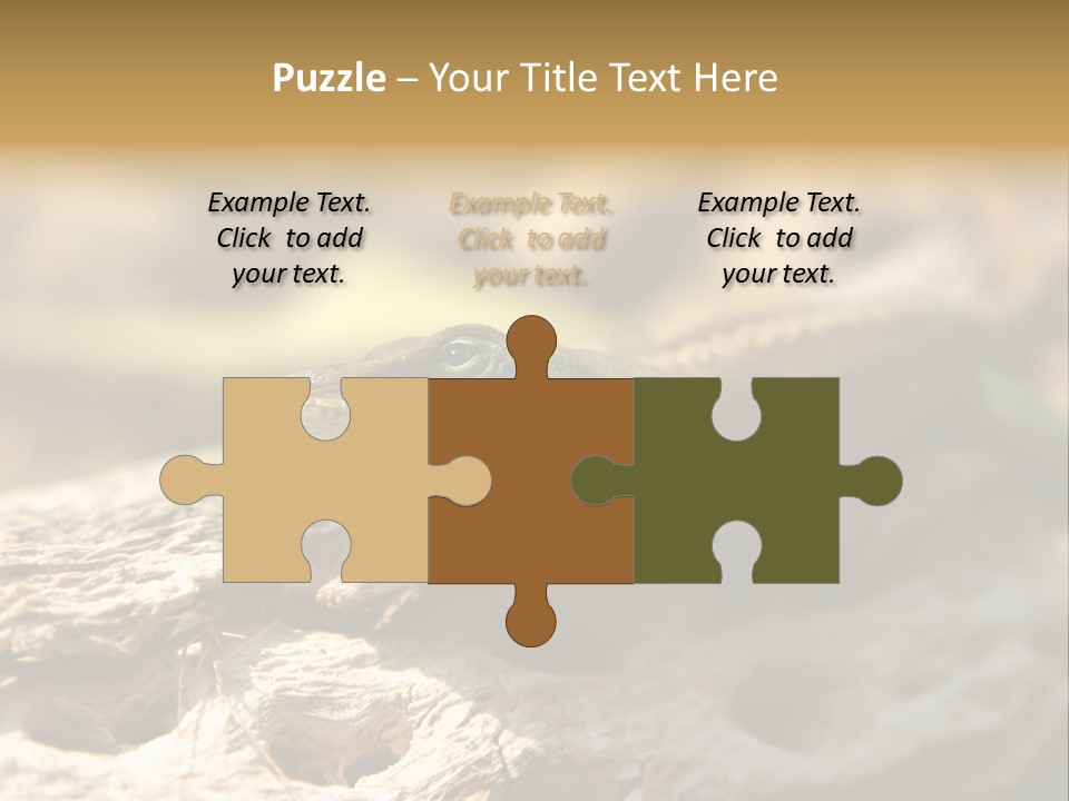 Beach Portrait Sunrise PowerPoint Template