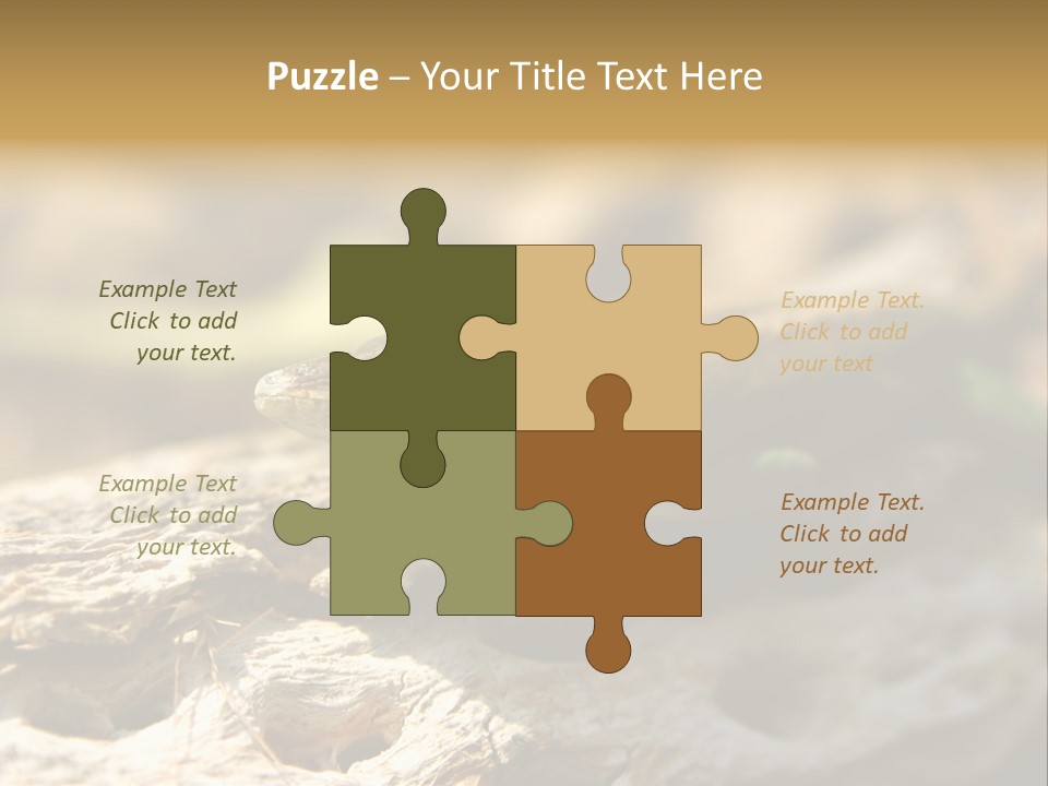 Beach Portrait Sunrise PowerPoint Template