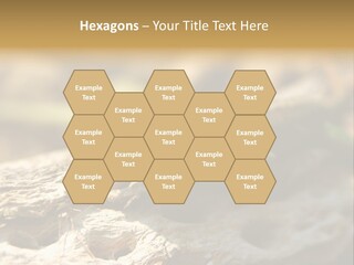 Beach Portrait Sunrise PowerPoint Template