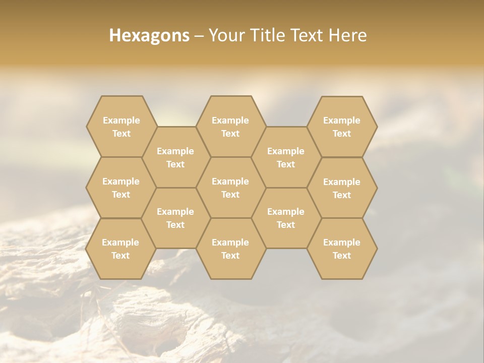 Beach Portrait Sunrise PowerPoint Template