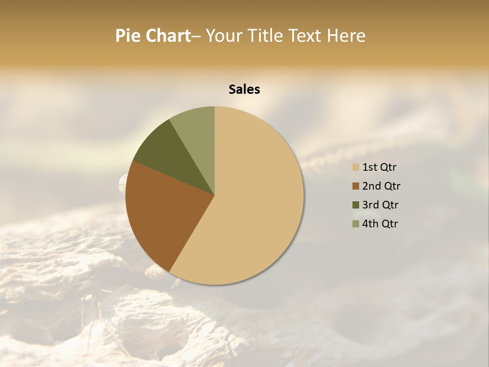 Beach Portrait Sunrise PowerPoint Template