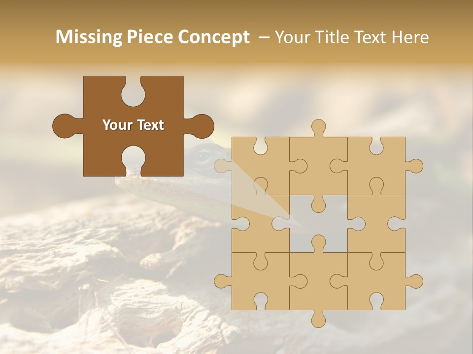 Beach Portrait Sunrise PowerPoint Template