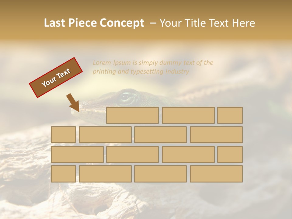 Beach Portrait Sunrise PowerPoint Template