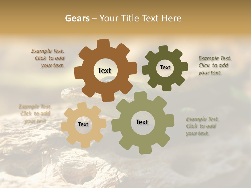 Beach Portrait Sunrise PowerPoint Template