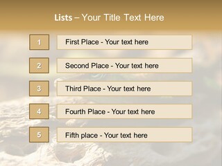 Beach Portrait Sunrise PowerPoint Template