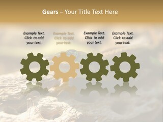 Beach Portrait Sunrise PowerPoint Template