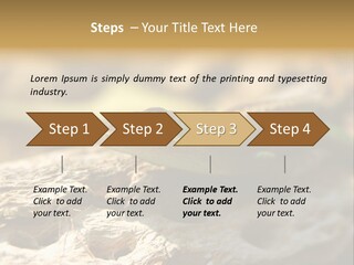 Beach Portrait Sunrise PowerPoint Template