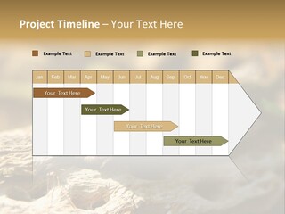 Beach Portrait Sunrise PowerPoint Template