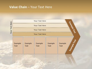 Beach Portrait Sunrise PowerPoint Template