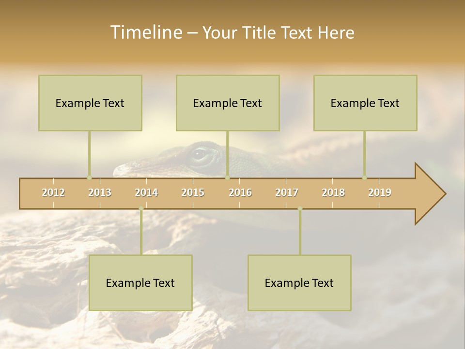 Beach Portrait Sunrise PowerPoint Template